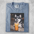 Husky dog wearing sunglasses holds iced coffee with blurred city lights background.