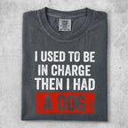 Charcoal t-shirt with white text "I USED TO BE IN CHARGE" and red distressed text "A DOG".