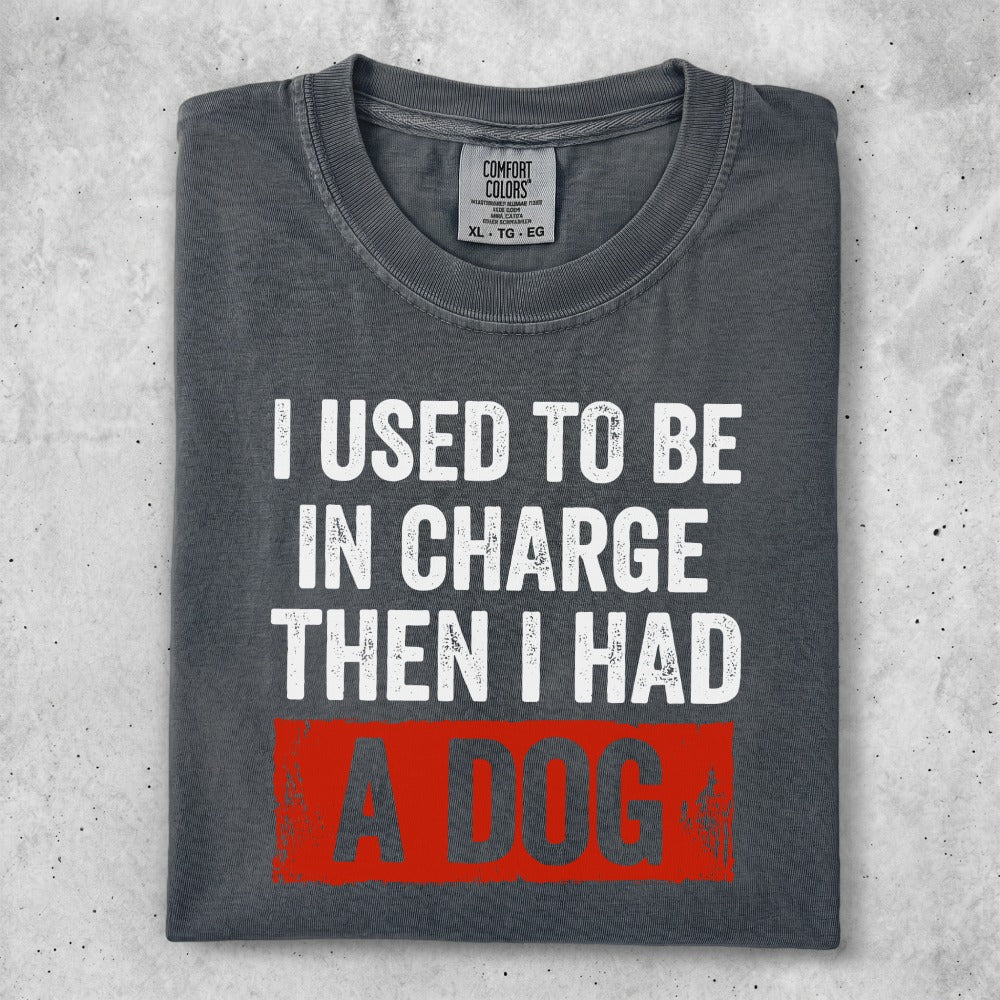 Charcoal t-shirt with white text "I USED TO BE IN CHARGE" and red distressed text "A DOG".
