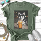 Husky wearing sunglasses drinks from an iced coffee cup.