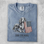 Dachshund holding an American flag with "250 YEARS 1776-2026" text.