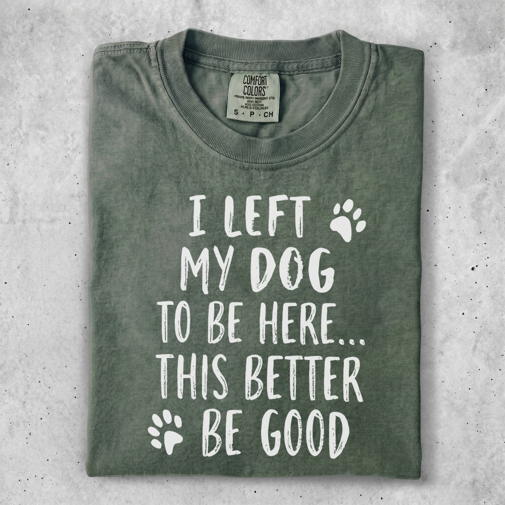 Green Comfort Colors t-shirt with text "I left my dog to be here... this better be good."