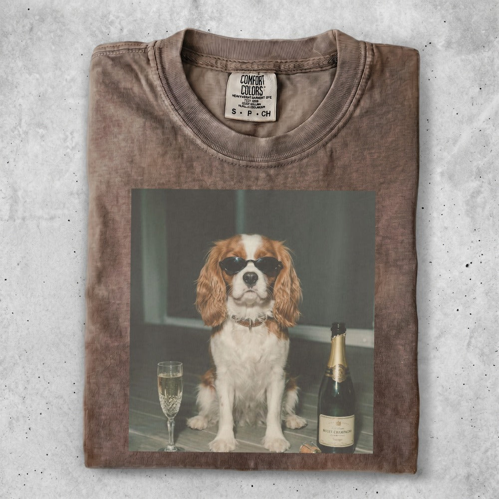 Dog wearing sunglasses sits by a champagne bottle and flute.