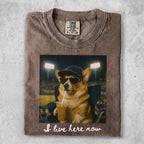 Corgi wearing sunglasses and a baseball cap drinks from a coffee cup.