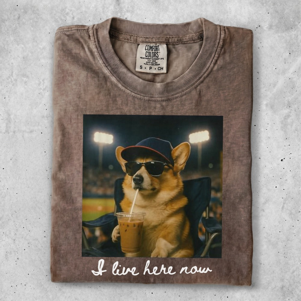 Corgi wearing sunglasses and a baseball cap drinks from a coffee cup.