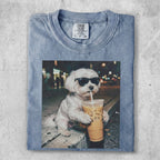 White dog with sunglasses drinks iced coffee on sidewalk.