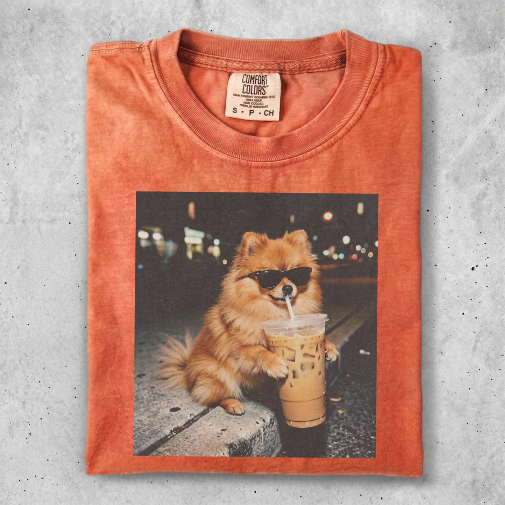 Pomeranian dog in sunglasses holds iced coffee on a city street.