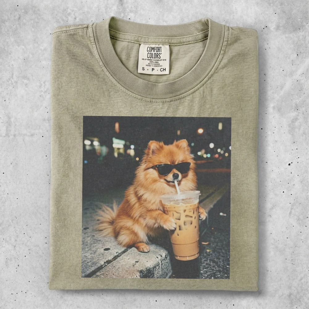 Pomeranian dog wearing sunglasses drinks iced coffee.