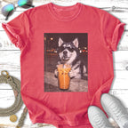 Husky wearing sunglasses drinks iced coffee with straw.